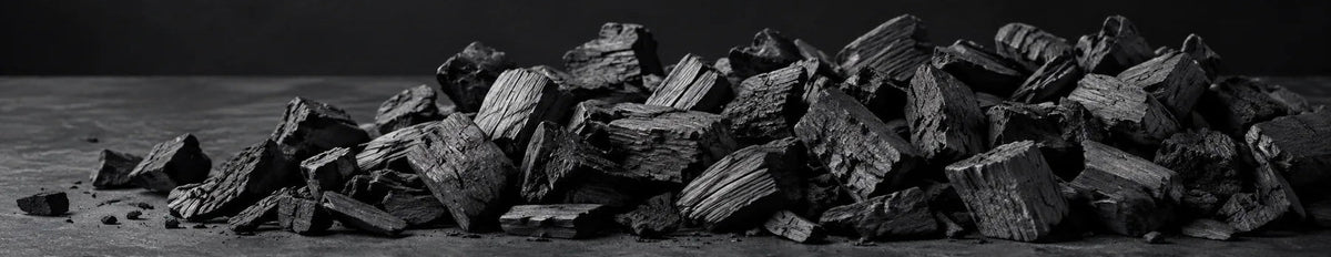 Petits morceaux de charbon de bois disposés sur un fond sombre.