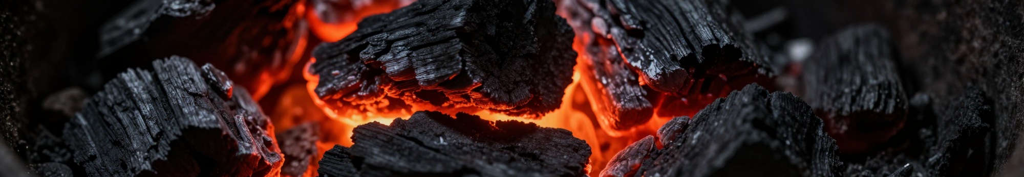 Charbon d'eucalyptus professionnel pour restaurants, grillades, braseros et cuisson au feu de bois