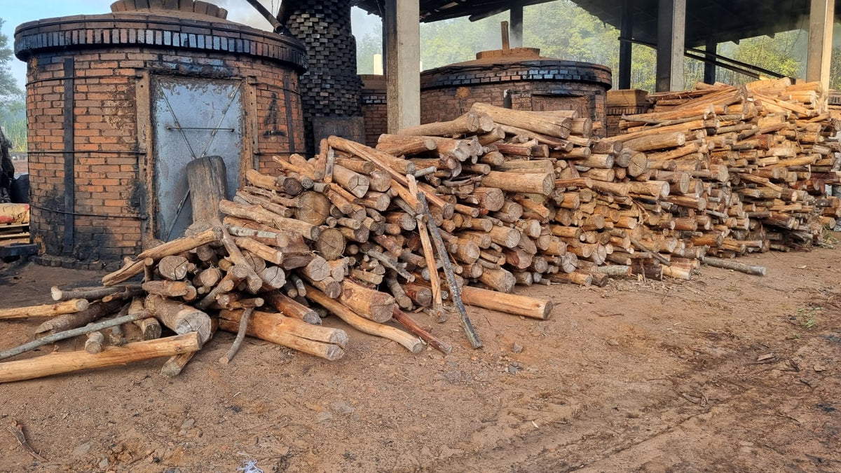 Fours de carbonisation et bois destiné à la production de charbon de bois au Brésil